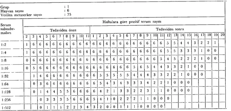 Tablo 2: Deneyselolarak F. hepatica ile enfekte edilen koyunlarda immunopcroxidase testinin sonuçları