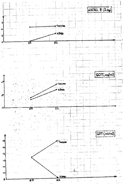 Grafik i . Grup I.C ait hayvanlarda ortalama serum GüT, GPT ve anorganik fo~for