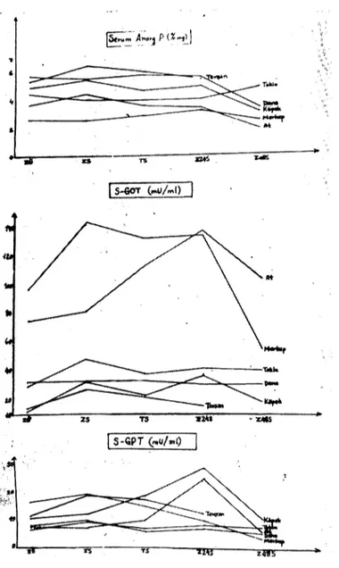 Grafik 5. Grup V'e ait hayvanlarda ortalama serum GüT, GPT ve anorganik fosfor
