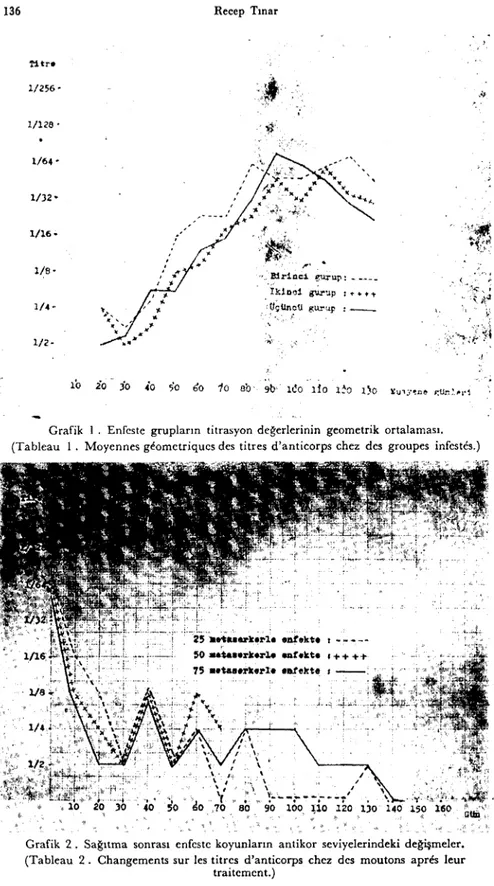 Grafik 2. Sağıtma sonrası enfeste koyunların antikor seviyelerindeki değişmeler. (Tableau 2