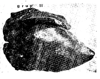 Şekil 7. Gruplar itibariyle karaciğerIerin makroskopik görünümleri. Fig. 7. :Macroscopic appearance of the liver in each experimental group.