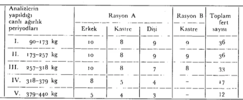 Tablo 2. Hay,'uıılarııı Canlı Ağırlık Periyodlarına, Rasyon Guruplarıııa Dağılışıarı ve Cinsiyetlcri Analizleri n