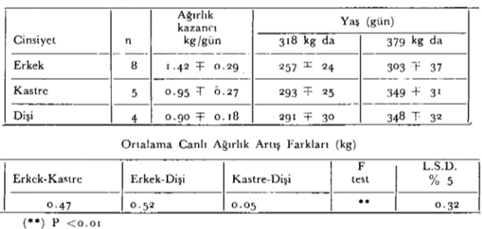 Tablo 6. Dördüncü Canlı Ağırlık Periyodu: 318-379 kg. Ağırlık Yaş (gün) kazancı Cinsiyet n kg/gün 318 kg da 379 kg da .