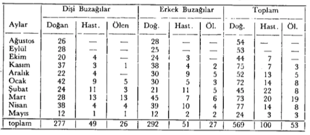 TABLO II.