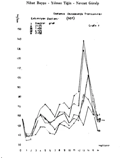 Grafik 3. F. gigantica ilc enfekte koyunlarda serum GüT aktivitesi. Diagram 3. The activity of serum GüT in sheep infected with F