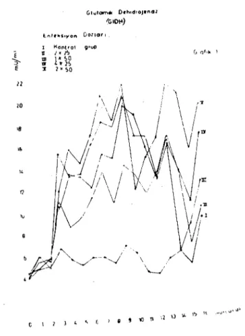 Grafik ı. F. gigantica ile enfekte koyunlarda serum GIDH aktivitesi. Diagram ı. The activity of serum GIDH in sheep infeeted with F
