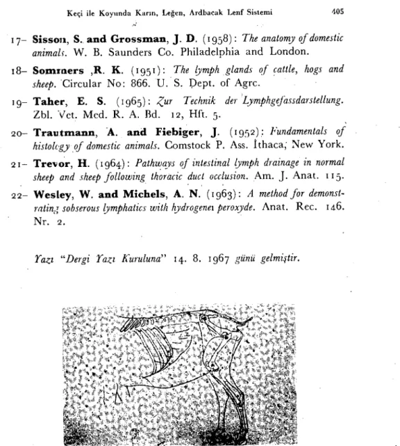 Fig. 1: The subeutaneuos and intramuseufarly injection points have been shown b'y dots