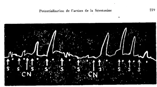 Fig. ı. Acıio:., de la Serotonine (SHT) sur le muscle lon~itudinal isoı,' de vcr dc tcrre