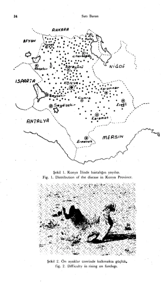 Şekil i. Konya ılinde hastalığın yayılışı. Fig. i. Distribution of the disease in Konya Provincc.