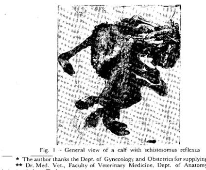 Fig. i .-General vicw of a calf with schistosornus rcflexus