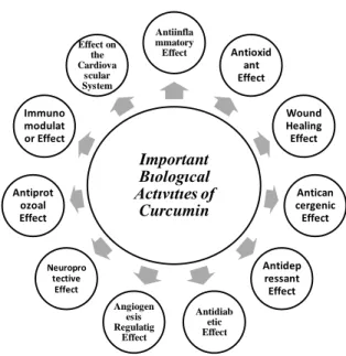 Figure 3. Schematic of the multiple biological activities of 