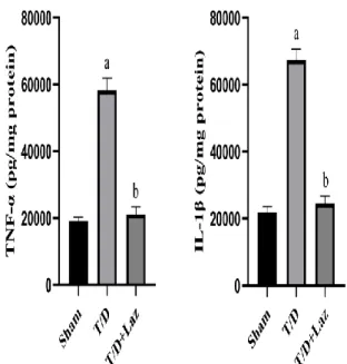 Figure 1: Results of IL-1β and TNF-α among all the  experimental groups. 