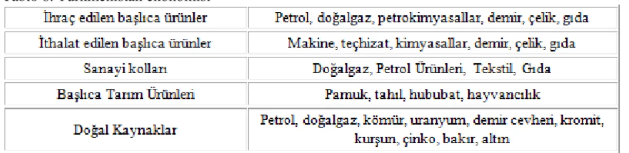 Tablo 8. Türkmenistan ekonomisi  