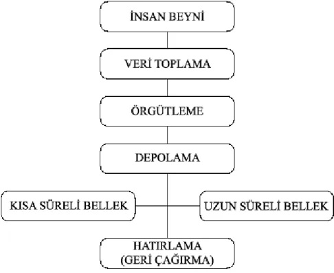 Şekil 2.2. Algılama Süreci (Ayvaz, 2007) 