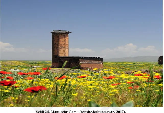Şekil 24. Manuçehr Camii (testsite.kultur.gov.tr, 2017). 