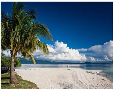 Foto 6: Leyte adasının plajları doğal güzellikleri ve tropikal görünümüyle  ünlüdürler 