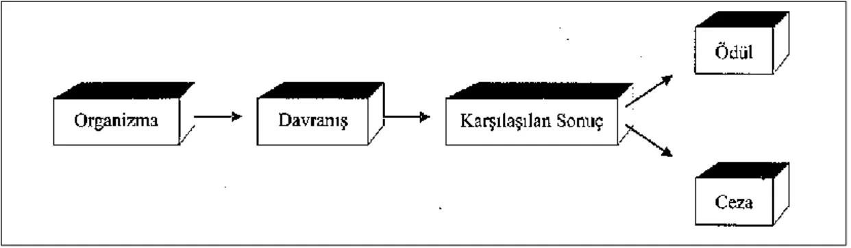 Şekil 2.3. Sonuçsal Şartlandırma Yaklaşımı 