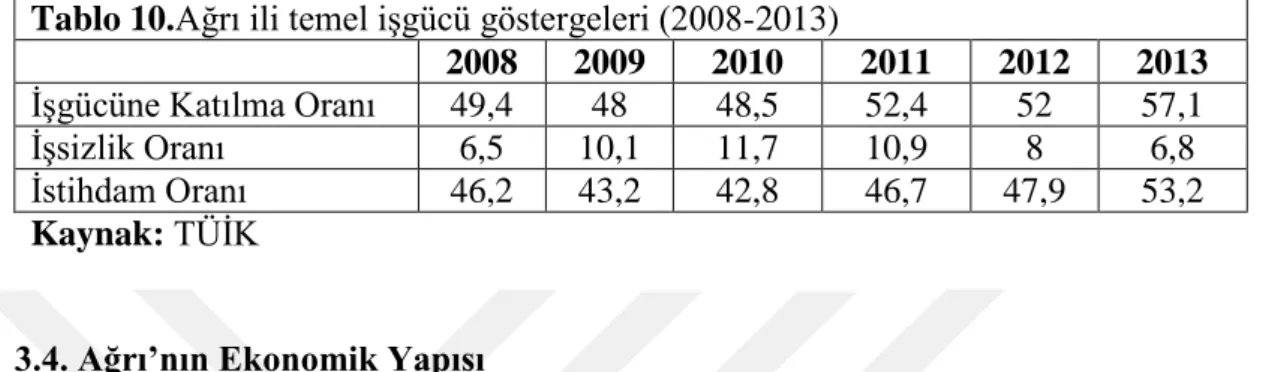Tablo 10.Ağrı ili temel işgücü göstergeleri (2008-2013) 