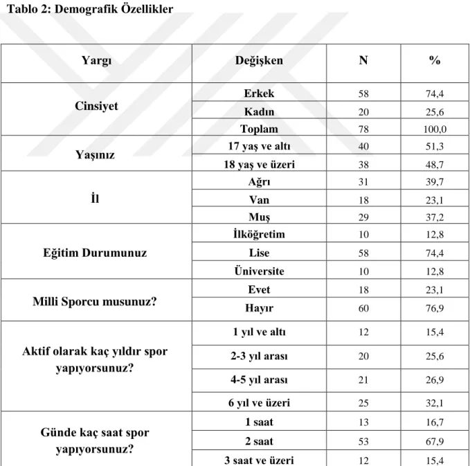 Tablo 2: Demografik Özellikler 