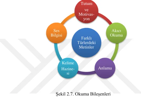 Şekil 2.7. Okuma Bileşenleri 