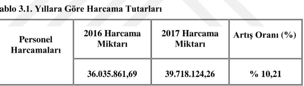 Tablo 3.1. Yıllara Göre Harcama Tutarları 