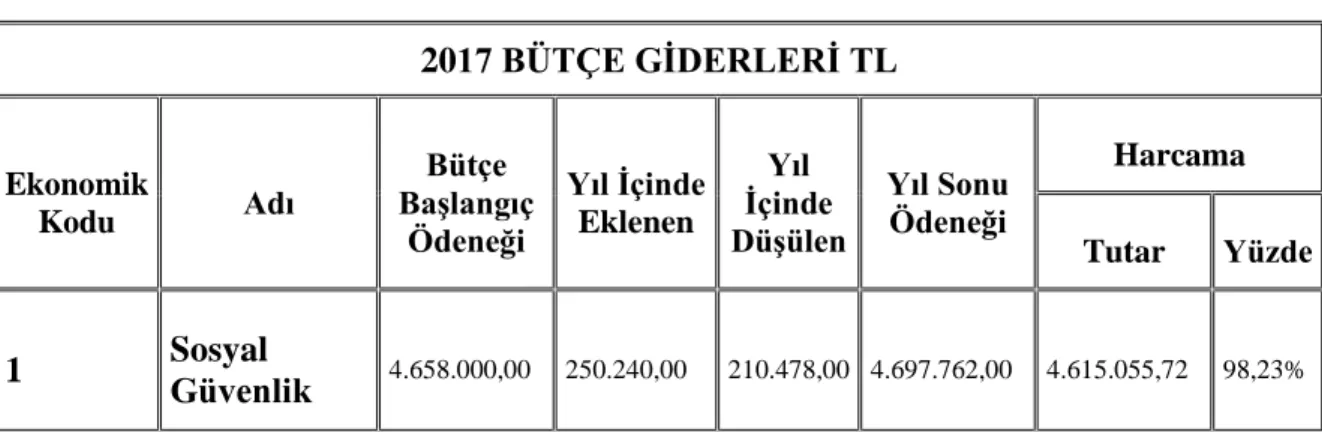 Tablo 3.5.Bitlis Eren Üniversitesi`nin 2017 Yılı Bütçe Giderleri  2017 BÜTÇE GİDERLERİ TL  Ekonomik  Kodu  Adı  Bütçe  Başlangıç  Ödeneği  Yıl İçinde Eklenen  Yıl  İçinde  Düşülen  Yıl Sonu Ödeneği  Harcama  Tutar  Yüzde  1  Sosyal  Güvenlik  4.658.000,00 