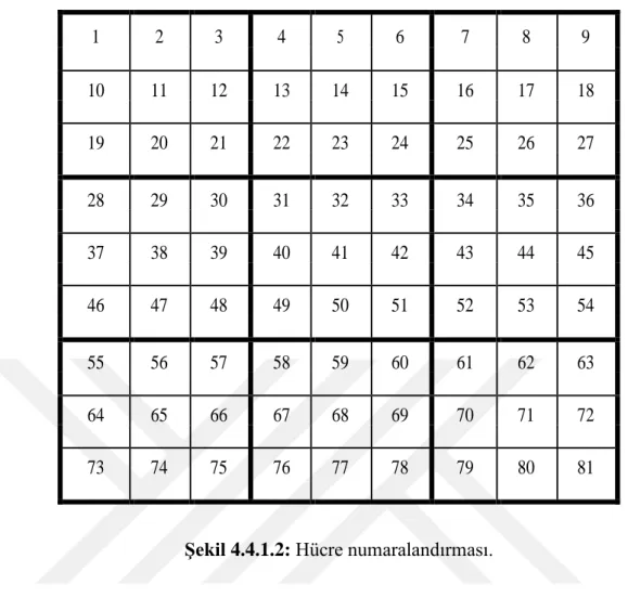 Şekil 4.4.1.2: Hücre numaralandırması. 