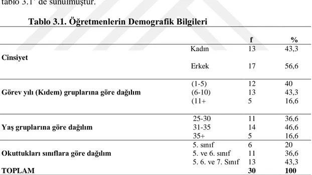 Tablo 3.1. Öğretmenlerin Demografik Bilgileri 