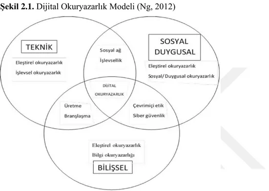 Şekil 2.1. Dijital Okuryazarlık Modeli (Ng, 2012) 
