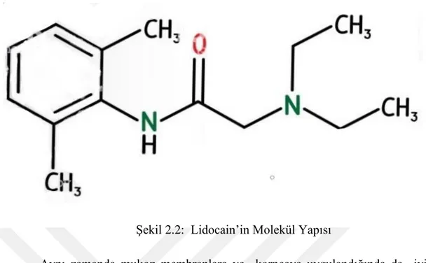 Şekil 2.2:  Lidocain’in Molekül Yapısı 