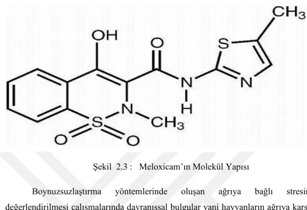 Şekil  2.3 :   Meloxicam’ın Molekül Yapısı 