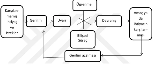 Şekil 3.3. Güdüleme Süreci  