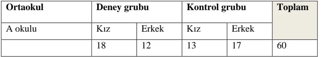 Tablo 3.2: Uygulamada yer alan gruplar ve uygulamada kullanılan araçlar  Araştırma  grupları  Fen tutum ön testi  Başarı  ön testi  Süreç  değerlendirme  etkinlikleri  Fen tutum son testi  Başarı  son testi  Deney grubu  X  X  X  X  X  Kontrol grubu  X  X 