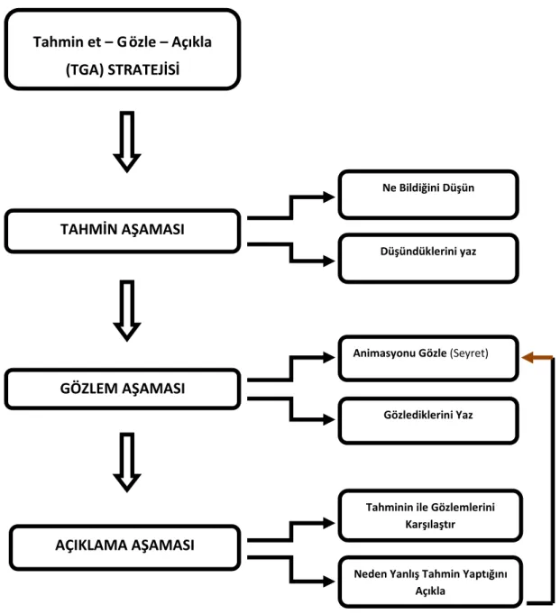 Şekil 3.1. TGA Stratejisinin Aşamaları 