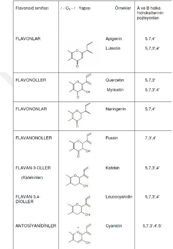 Çizelge 1. 1. Flavonoidlerin hetero halkadaki /- C3 -/ yapısına göre sınıflandırılması 