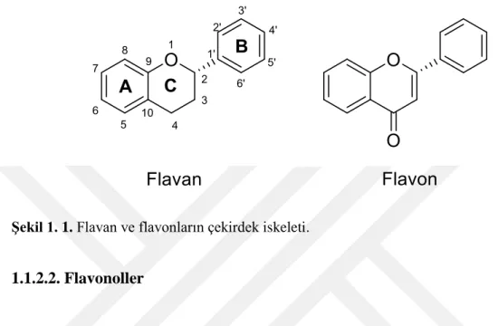 Şekil 1. 1. Flavan ve flavonların çekirdek iskeleti. 