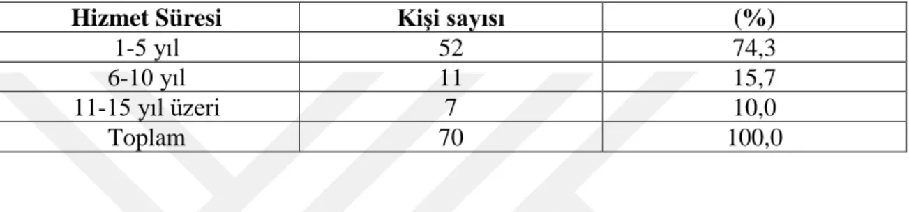 Tablo 3.3. Görev yapılan yere göre dağılım 