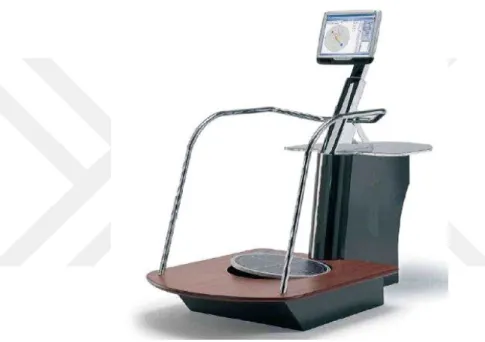 Şekil 1. Pro-Kin Technobody denge ölçüm cihazı 
