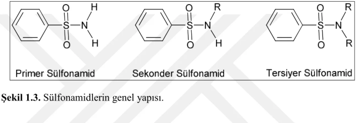 Şekil 1.3. Sülfonamidlerin genel yapısı. 