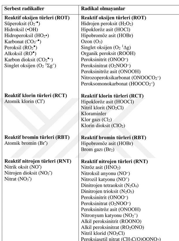 Çizelge  2.4.  Serbest  radikal  ve  radikal  olmayan  reaktif  türler  (Halliwell  and  Gutteridge 2007)