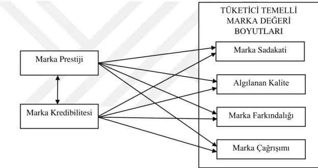 Şekil 2. 1. Araştırmanın Modeli 