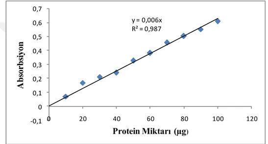 Şekil  4.1.  Proteinlerin  Bradford  yöntemiyle  kantitatif  tayininde  kullanılan  standart  grafik