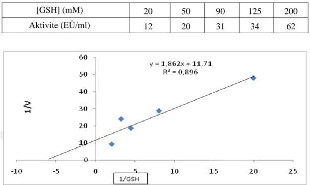 Çizelge  4.6.  Van  Gölü  İnci  Kefali  Balığı  solungaç  dokusu  GST  enziminin  GSH  substratı için K M  ve V max  değerlerinin bulunmasına yönelik çalışma sonuçları