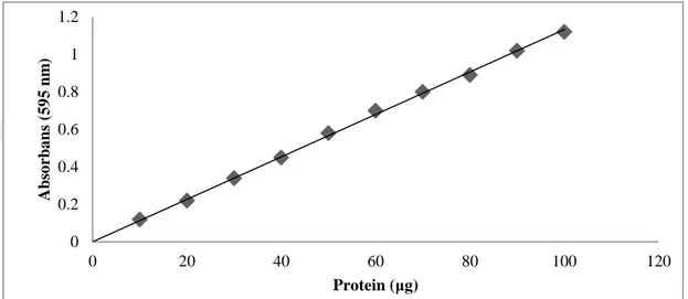 Şekil  4.1.  Bradford  metoduyla  proteinlerin  kantitatif  tayini  için  kullanılan  standart  grafik