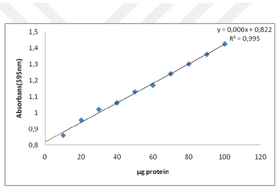 Şekil 4.1. Kantitatif protein tayini için kullanılan standart grafik 