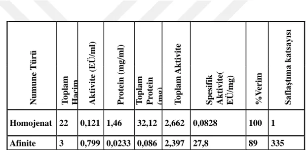 Çizelge  4.1.  İnci  kefali  balığının  böbrek  dokusundan  GST  enziminin  saflaştırma 