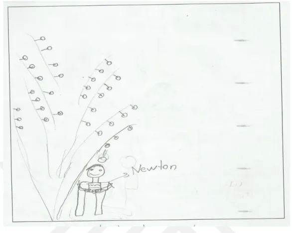 Şekil 9: Bilim insanının araştırıp bulduğu algısına sahip öğrencinin bilim insanının  kafasına elma düşerken çizimi (Gül’ün çizimi) 