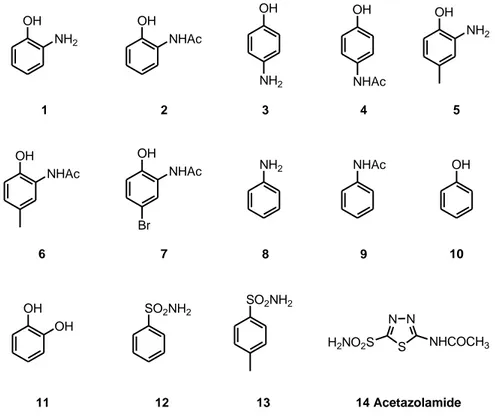 Figure 1. Structures of the compounds screened against CA. 