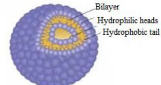 Figure 1. Pegylation (BAYINDIR 2007) 