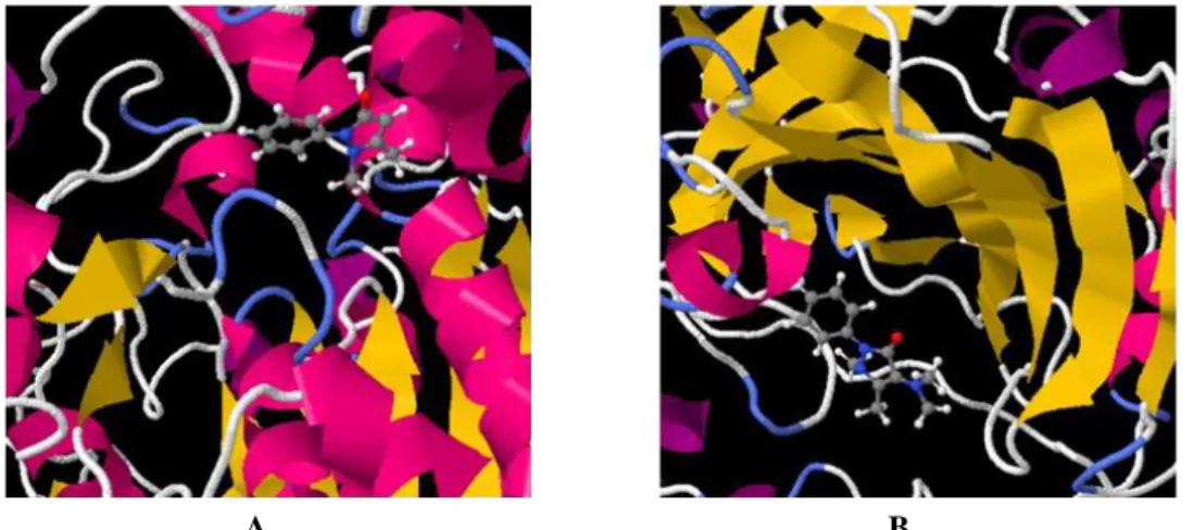 Figure 2. Possible interactions of (A) Aminopyrine with hCA II and (B) Aminopyrine with BuChE